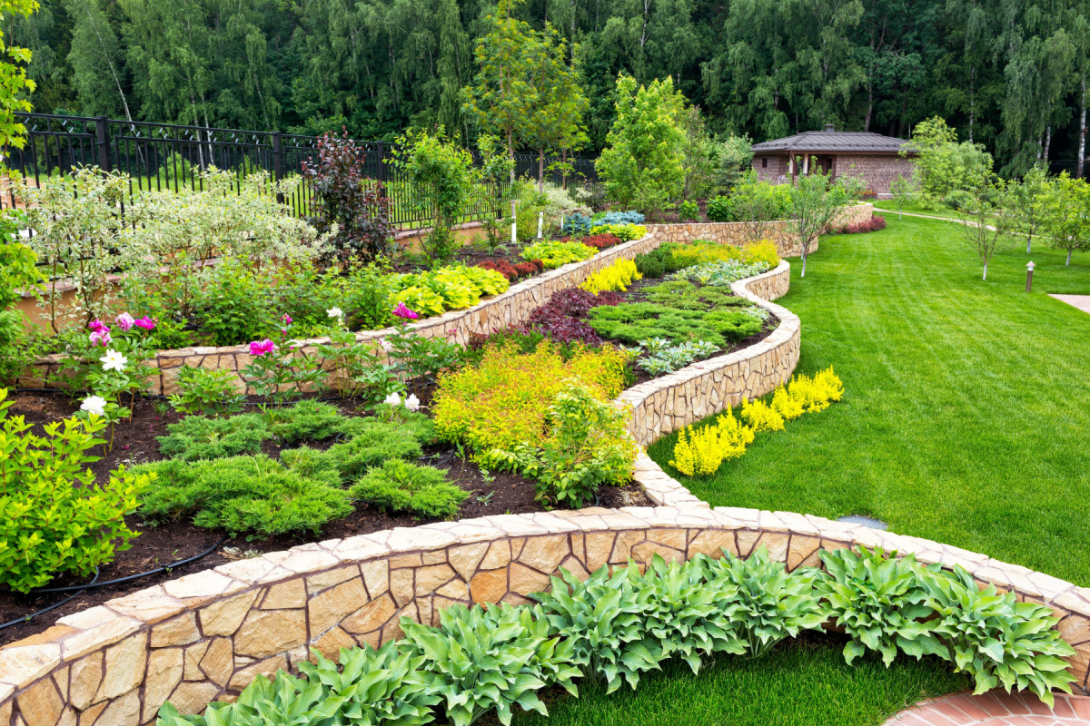 Professional landscape design
