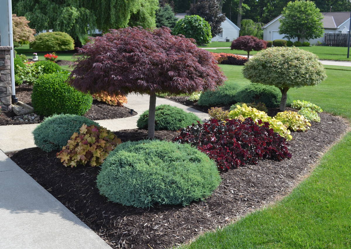 Landscape design with plantings