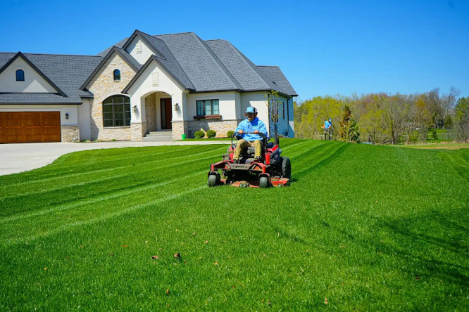 Lawn irrigation and maintenance