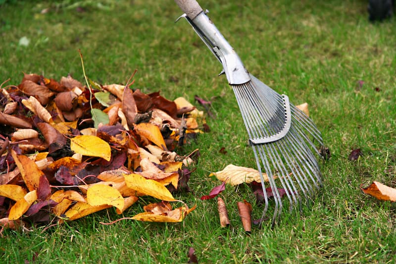 Seasonal cleanup and leaf removal