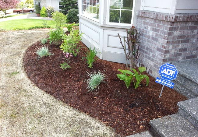 Mulch installation and bed maintenance