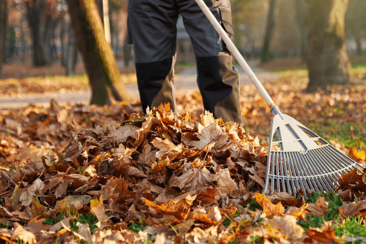 Landscaping services in Hermitage