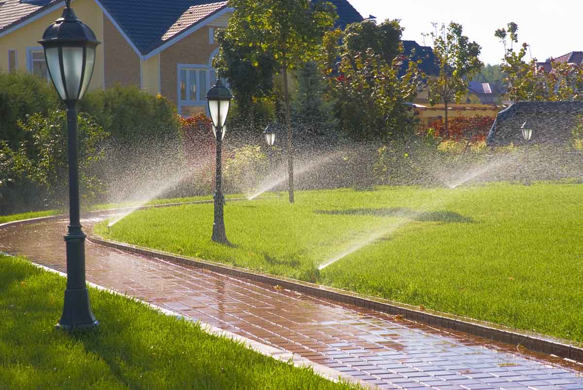 View leaf removal project in Mt Juliet