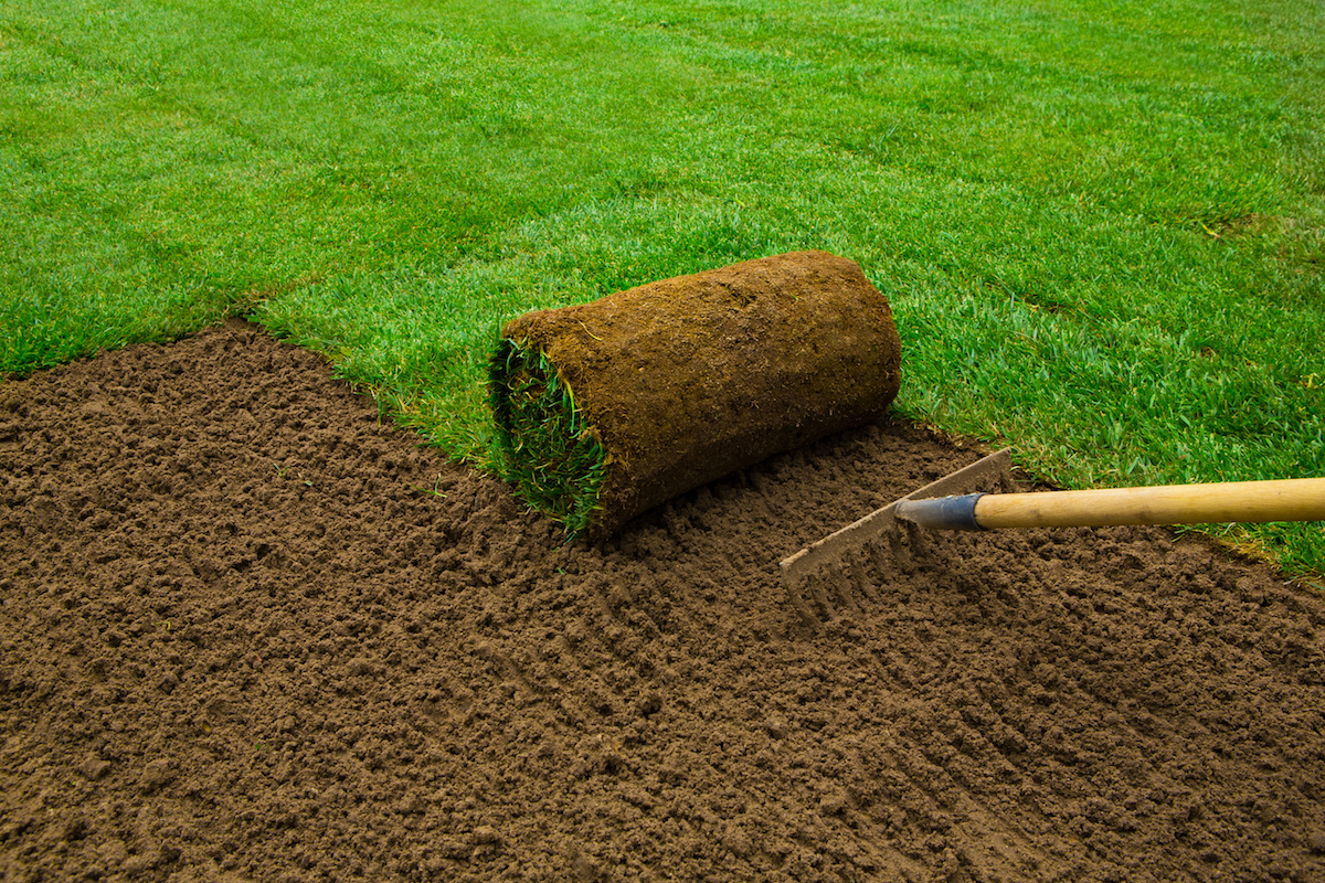 Professional sod installation
